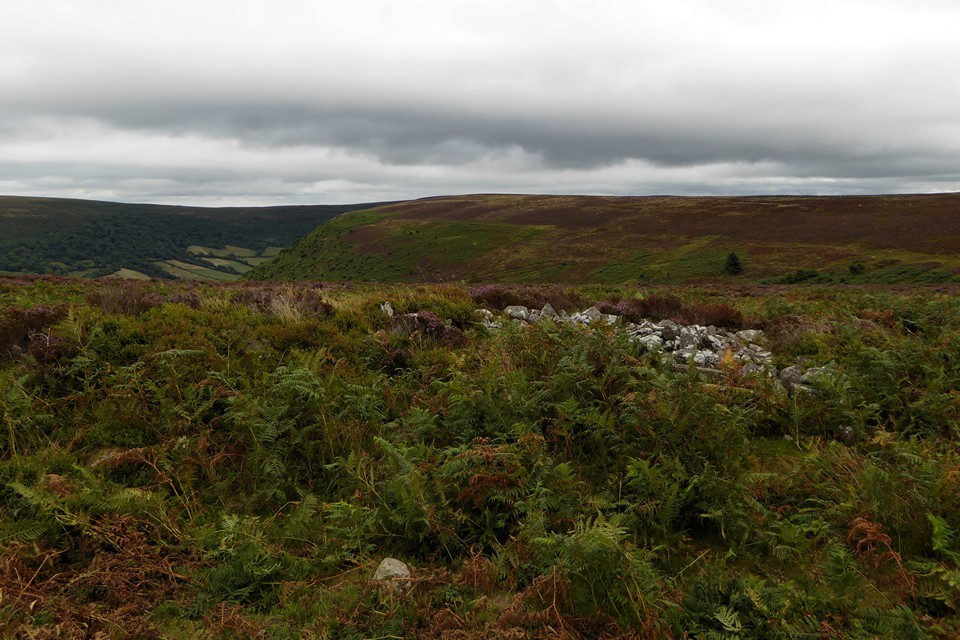 Cwm Bwchel, Black Mountains (Round Cairn) by thesweetcheat