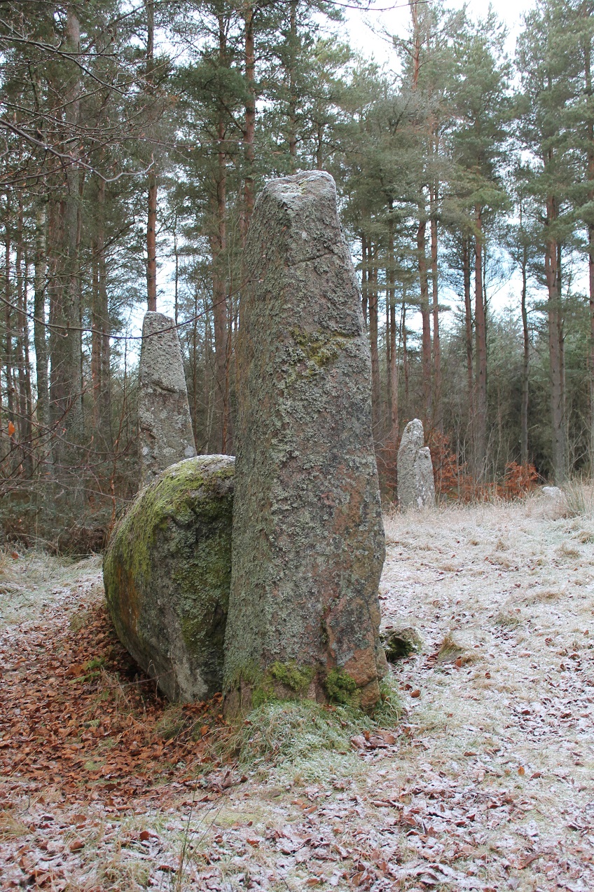 Cothiemuir Wood (Stone Circle) by ruskus