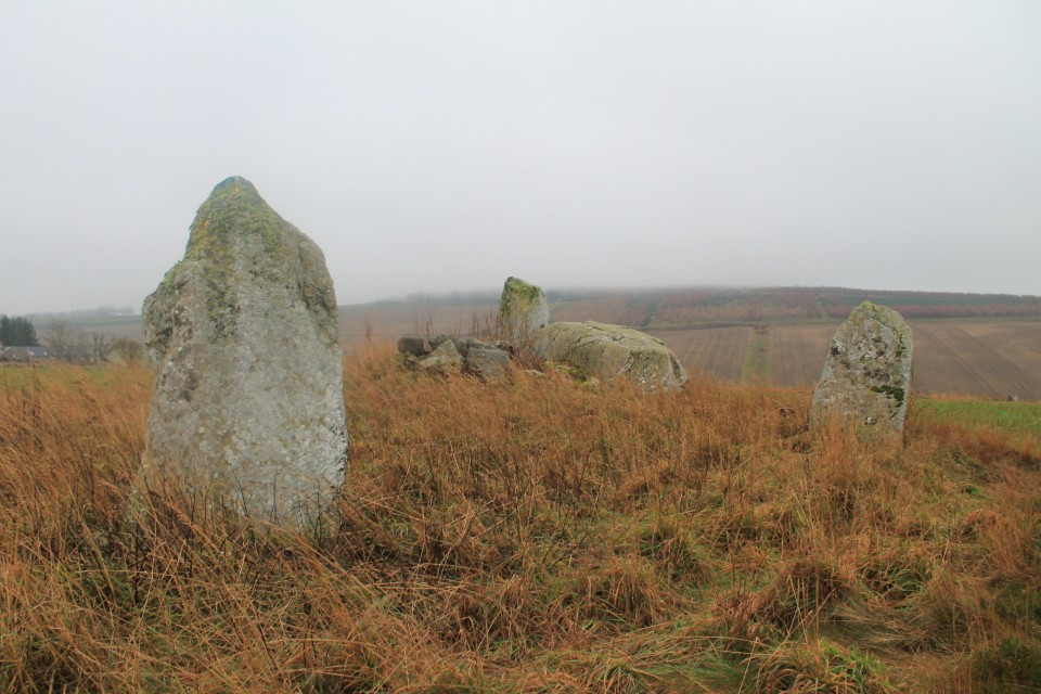 Kirkton of Bourtie (Stone Circle) by ruskus