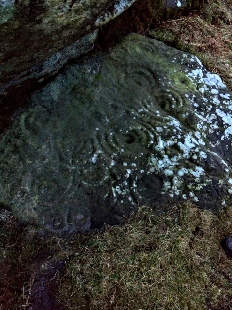 Kettley Crag (Cup and Ring Marks / Rock Art) by spencer