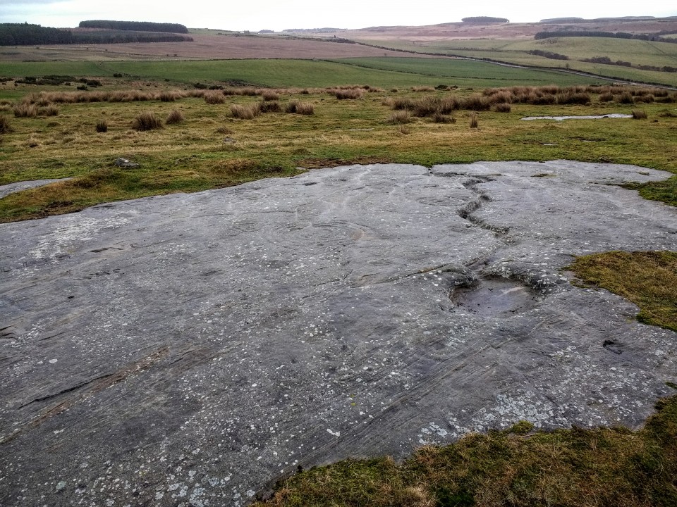 Chatton (Cup and Ring Marks / Rock Art) by spencer