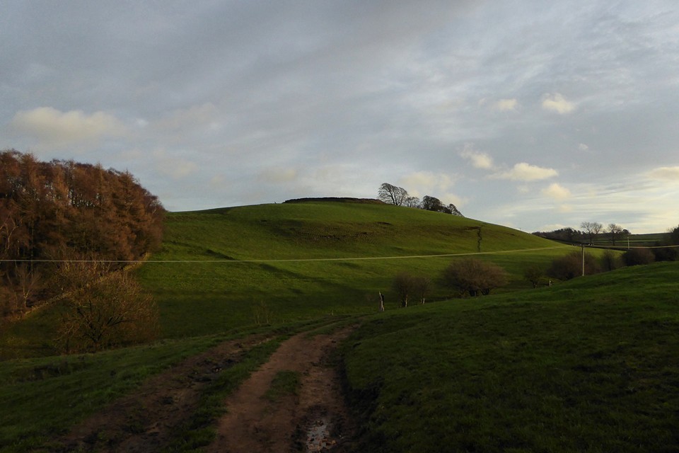 Castle Ring (Harthill) (Hillfort) by thesweetcheat