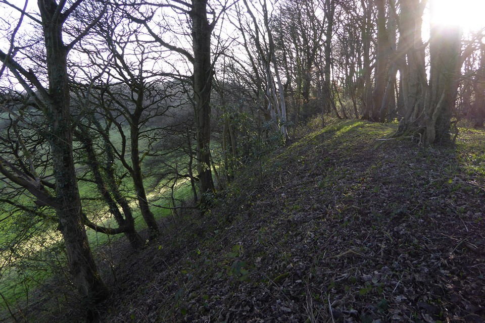 Wychbury Hill (Hillfort) by thesweetcheat