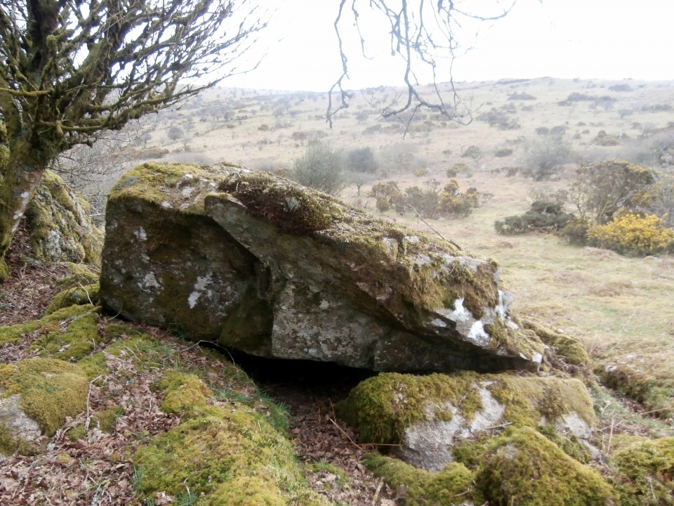Corner Quoit (Natural Rock Feature) by markj99