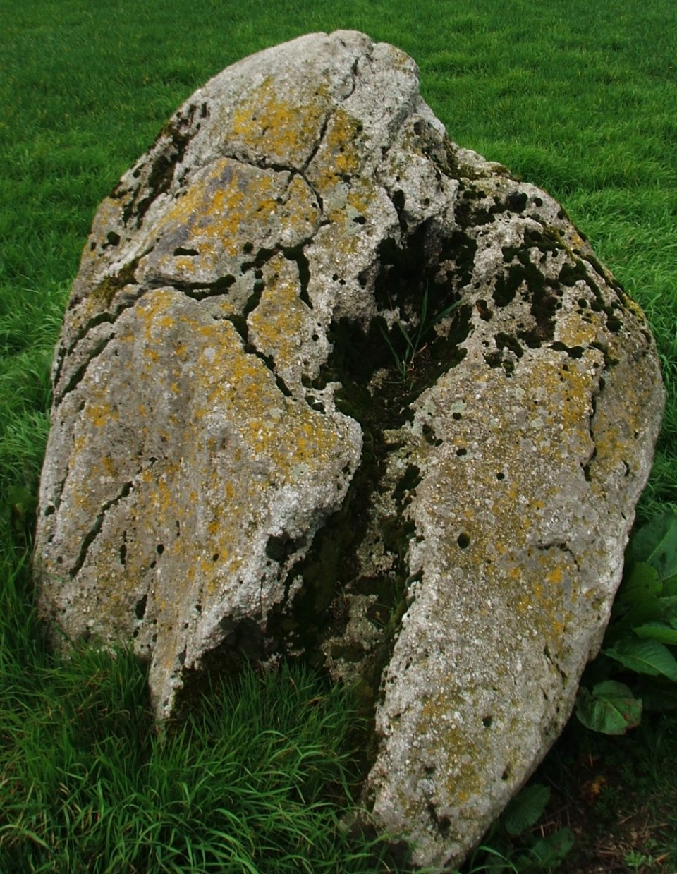Knobley (Standing Stone / Menhir) by postman