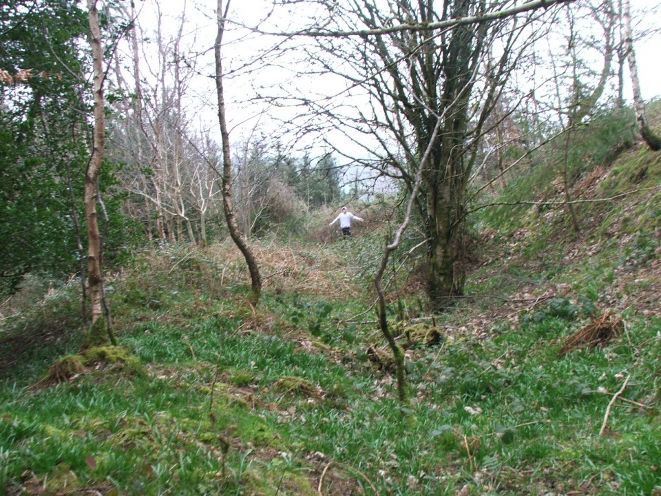Wapley Hill (Hillfort) by postman