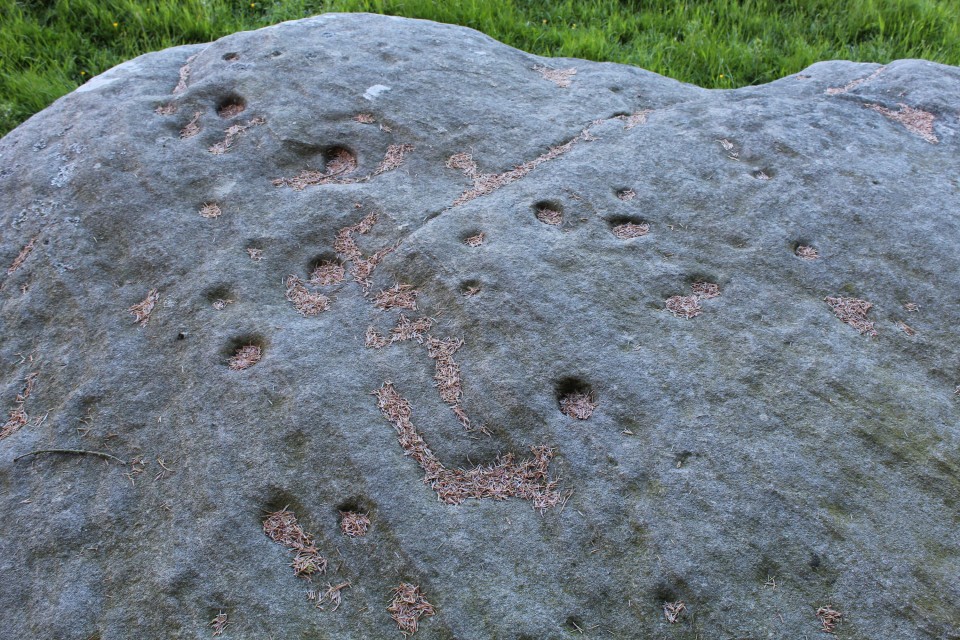 Fontburn (b) (Cup and Ring Marks / Rock Art) by postman
