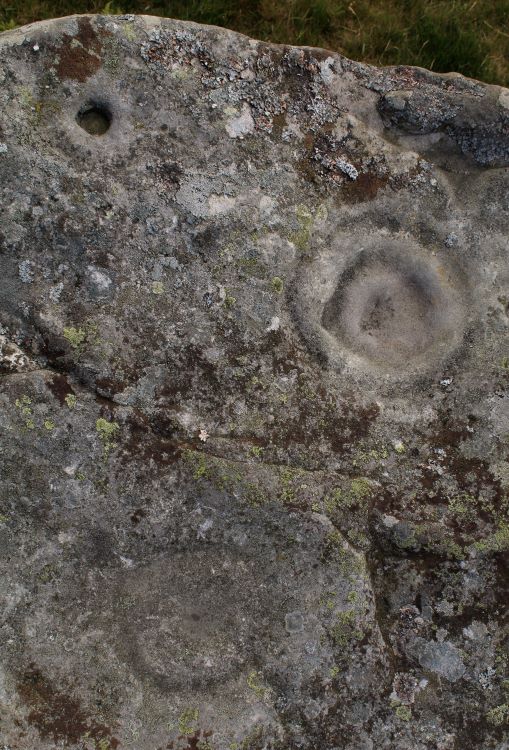 Old Bewick (Cup and Ring Marks / Rock Art) by postman