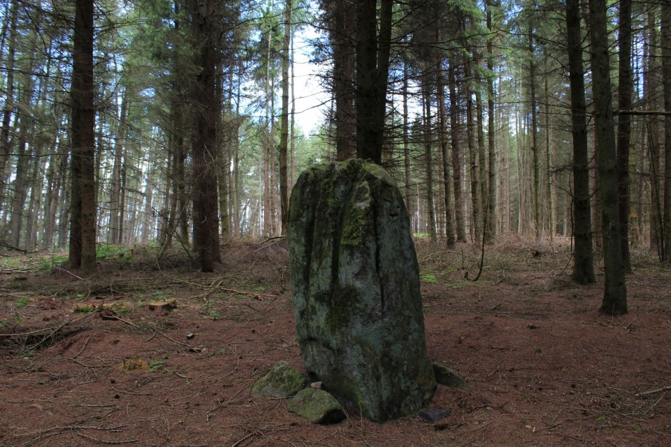 Bygate Hill (Standing Stone / Menhir) by postman
