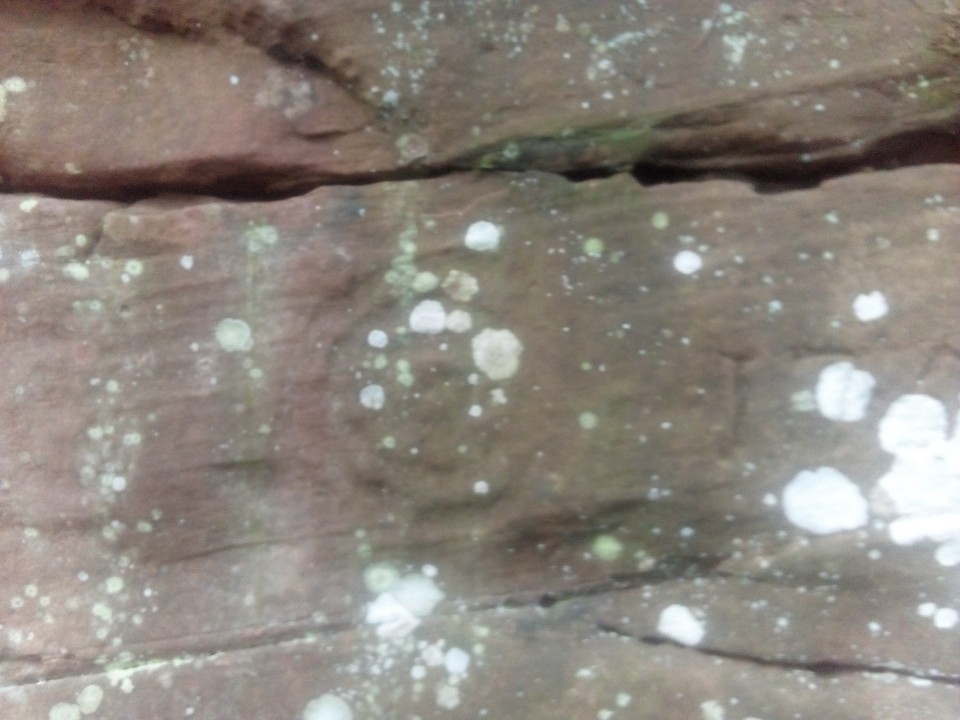 Ballochmyle Walls (Cup and Ring Marks / Rock Art) by new abbey
