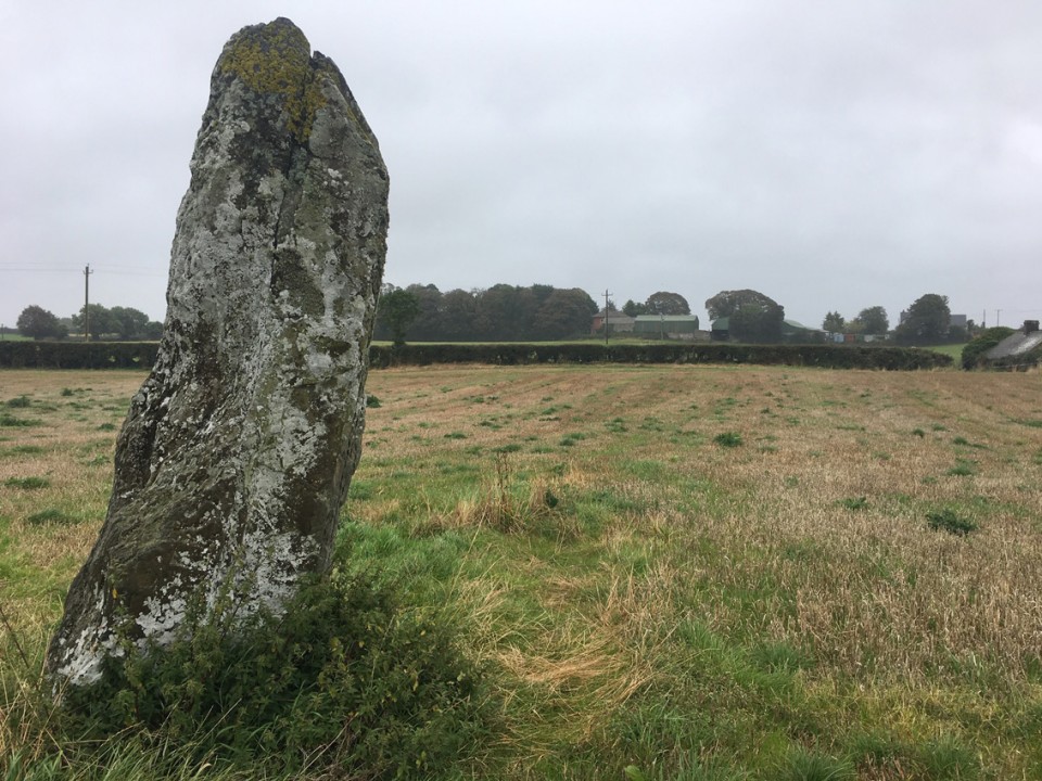 Cuchulains Stone (Rathiddy) (Standing Stone / Menhir) by ryaner