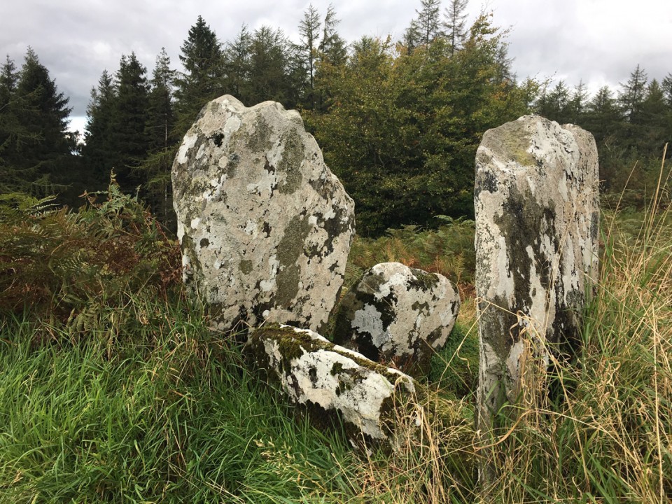 Kilranelagh Graveyard (Standing Stones) by ryaner