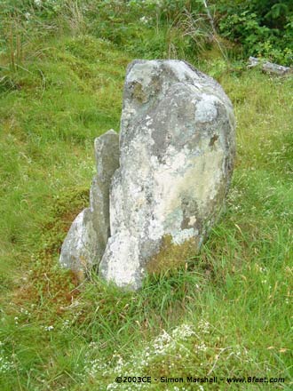 Buwch a'r Llo and Mynydd March (Standing Stones) by Kammer