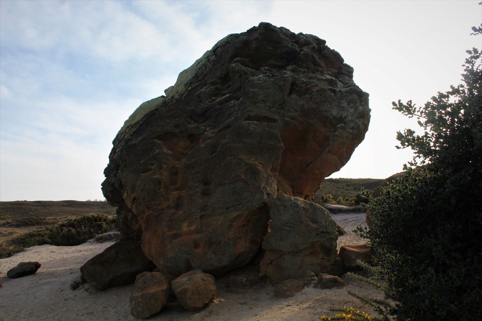The Agglestone (Natural Rock Feature) by postman
