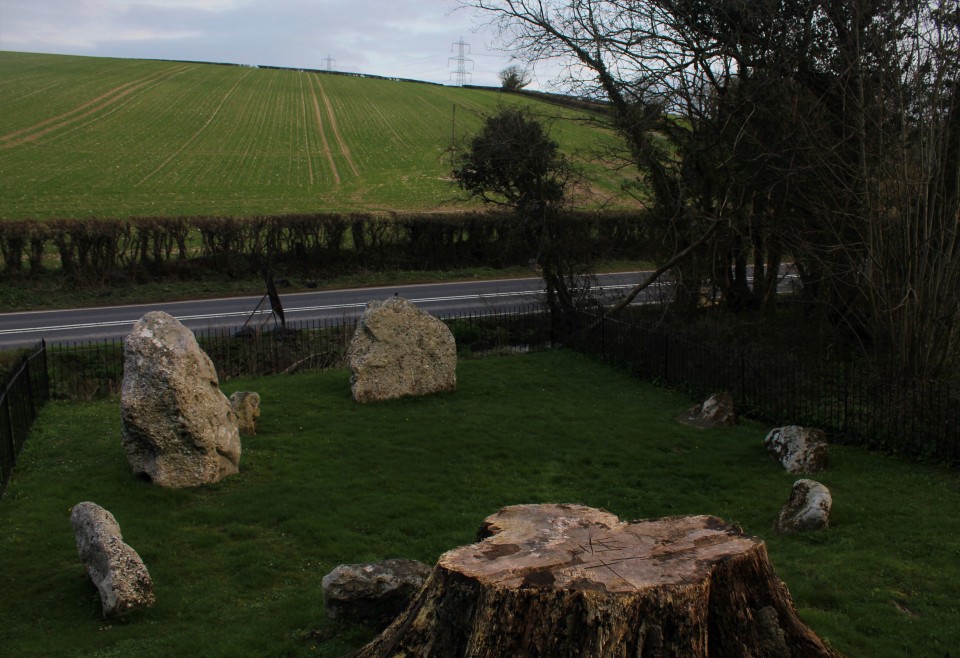 The Nine Stones of Winterbourne Abbas (Stone Circle) by postman