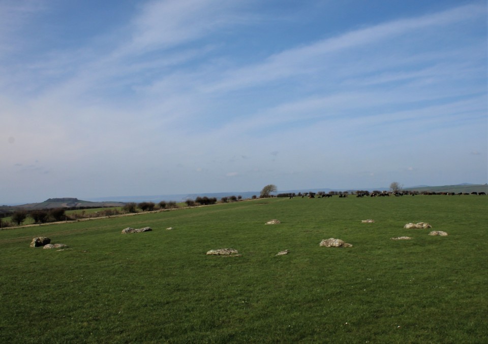 Kingston Russell (Stone Circle) by postman