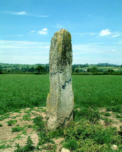 Maes Mochnant (Standing Stones) by baza