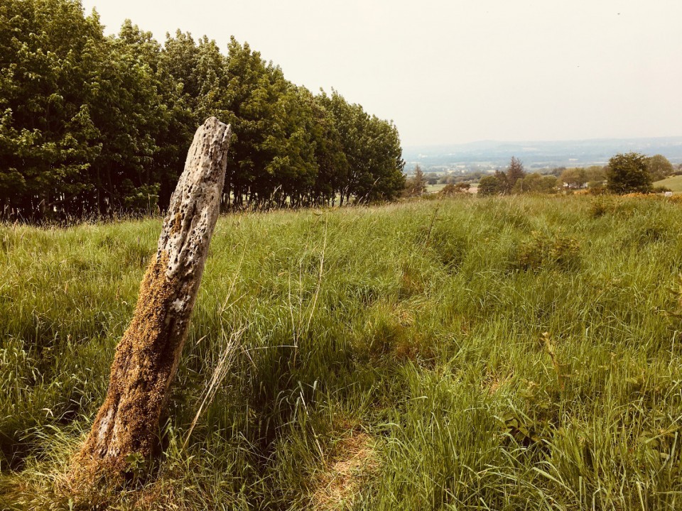 Patrickstown Standing Stone (Standing Stone / Menhir) by ryaner