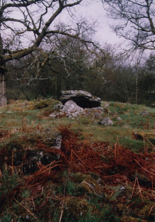 Edinchip Chambered Cairn (Chambered Cairn) by Moth