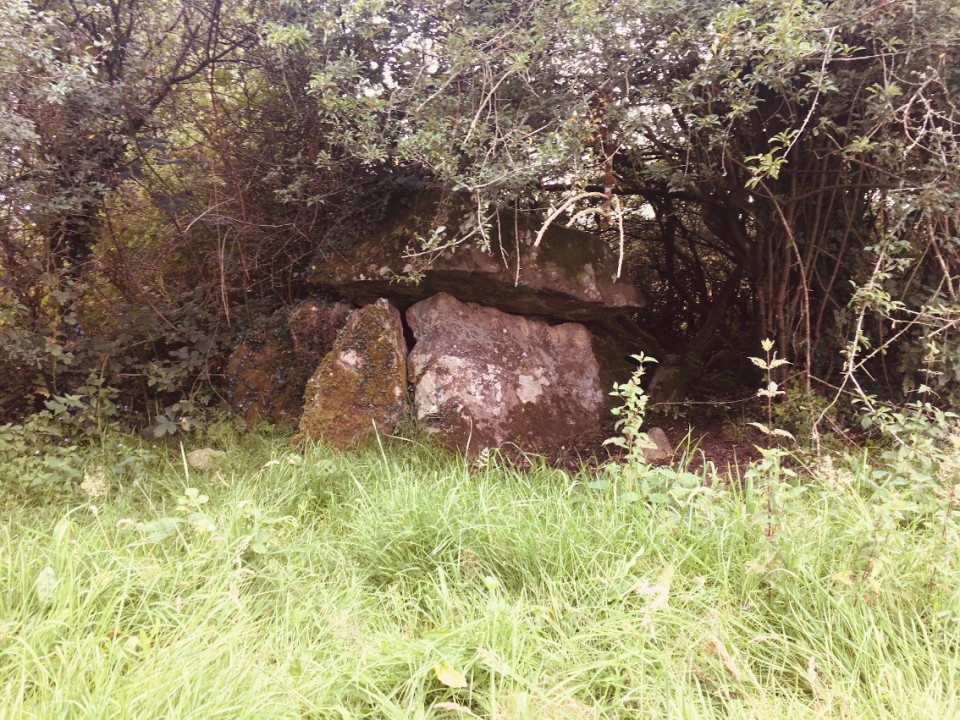 Carrickclevan (Portal Tomb) by ryaner