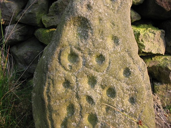 Baildon Stone 1 (Dobrudden) (Cup and Ring Marks / Rock Art) by stubob