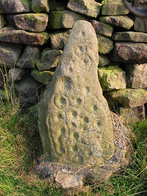 Baildon Stone 1 (Dobrudden) (Cup and Ring Marks / Rock Art) by stubob