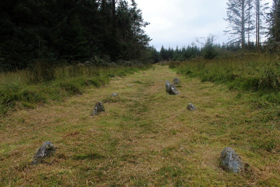 Fernworthy stone row (North) (Stone Row / Alignment) by postman