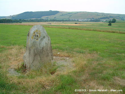 Carreg Llwyd (West) (Standing Stone / Menhir) by Kammer