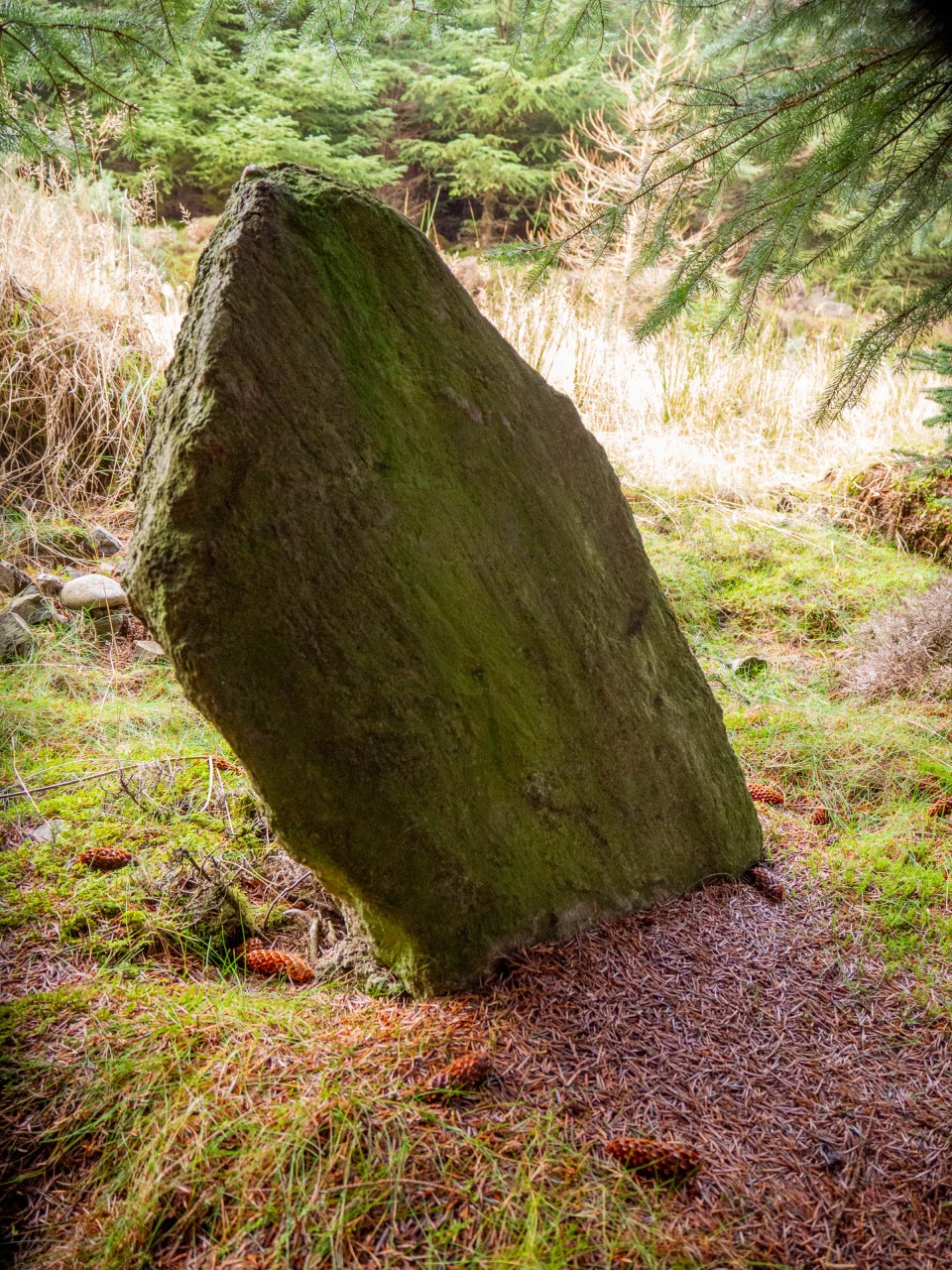 Fetteresso Forest (Standing Stone / Menhir) by taras
