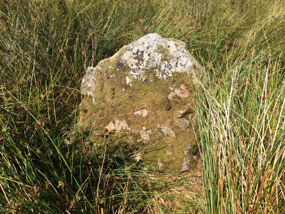 Drumfern (Stone Circle) by markj99