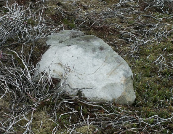 Harkerside Moor Circle (Stone Circle) by BrigantesNation