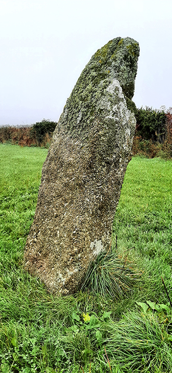 Trevorgans Menhir (Standing Stone / Menhir) by Zeb