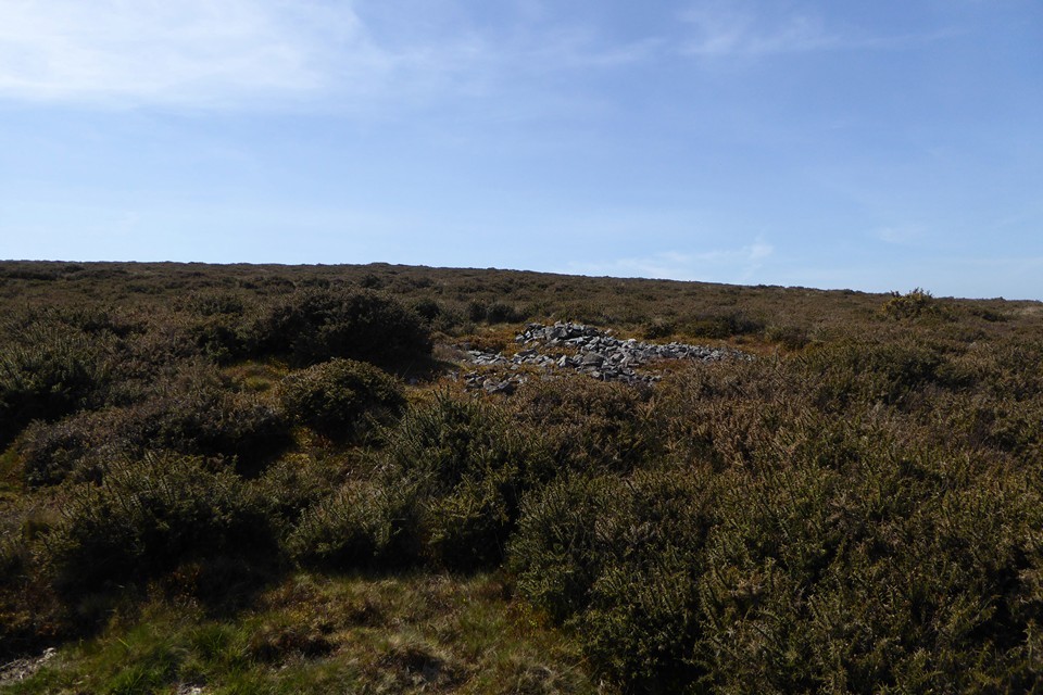Bossington Hill (Cairn(s)) by thesweetcheat