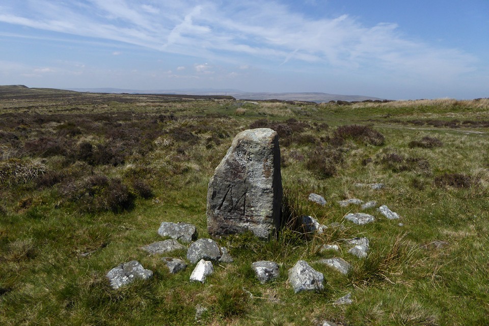 Carreg Maen Taro (Standing Stone / Menhir) by thesweetcheat