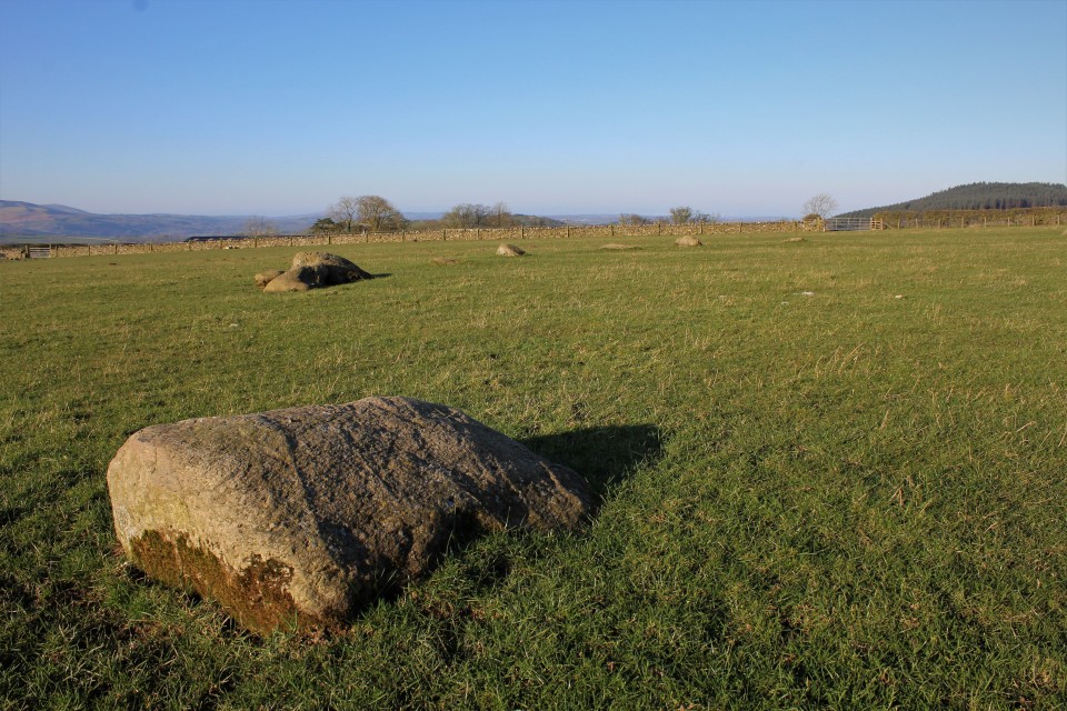 Elva Plain (Stone Circle) by postman