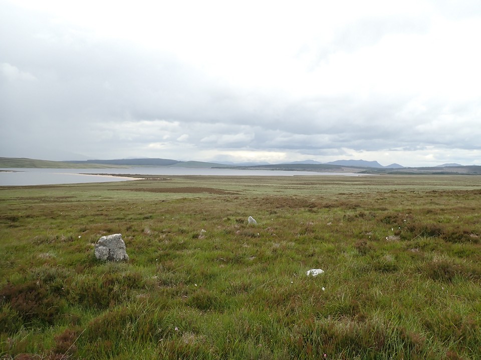 Cnoc Molach, Badanloch Forest (Stone Row / Alignment) by thelonious