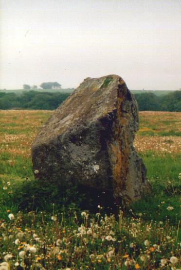 Broomend of Crichie (Circle henge) by Moth
