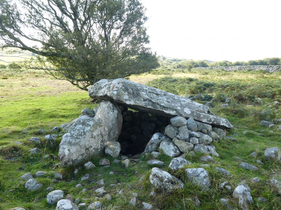 Cors y Gedol (Burial Chamber) by costaexpress
