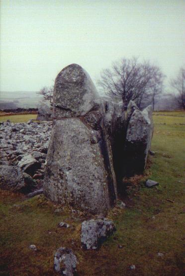 Loanhead of Daviot (Stone Circle) by Moth