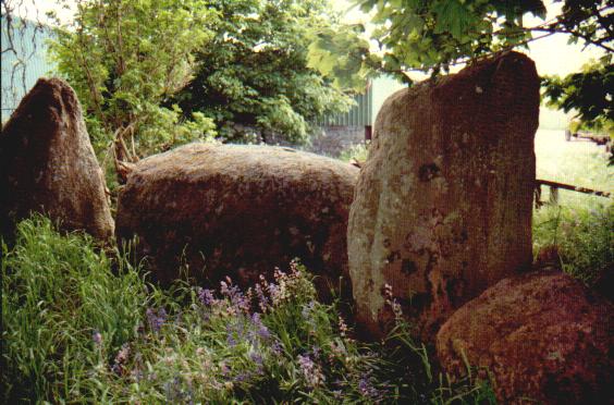 Netherton (Stone Circle) by Moth