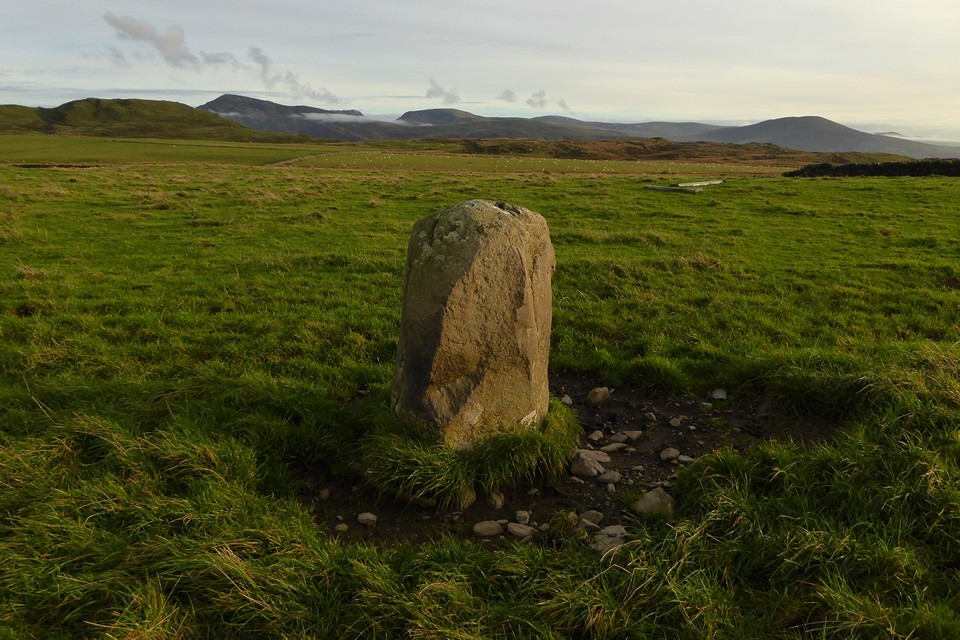 Moel Goedog Stone 2 (Standing Stone / Menhir) by thesweetcheat