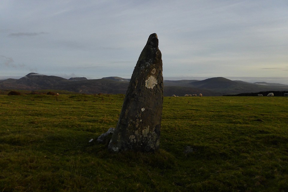 Carreg (Llanfair) (Standing Stone / Menhir) by thesweetcheat