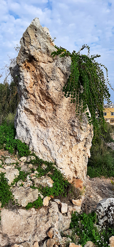Xemxija (Standing Stone / Menhir) by Zeb