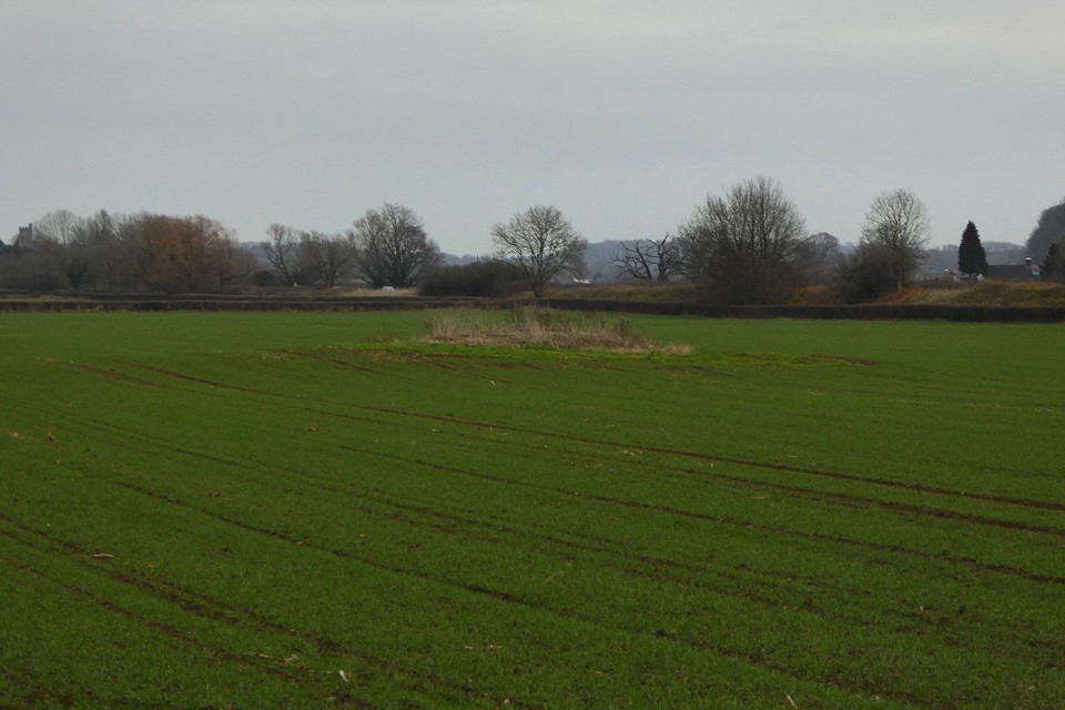 Five Lanes (Caerwent) (Round Barrow(s)) by thesweetcheat