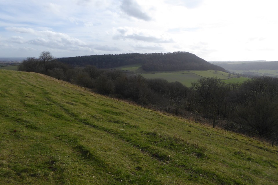 Norton Camp (Shropshire) (Hillfort) by thesweetcheat