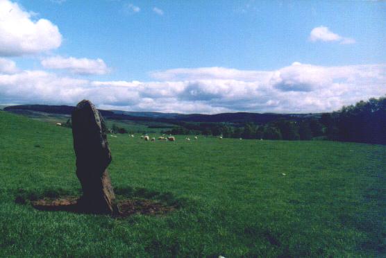 Straloch Stone (Standing Stone / Menhir) by Moth