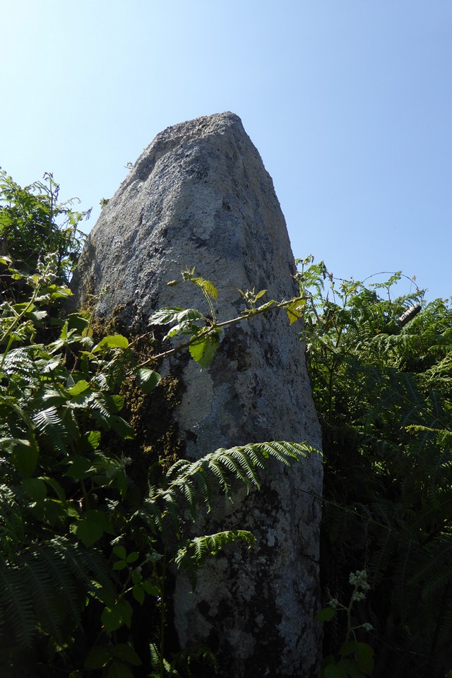Ding Dong lane (Standing Stone / Menhir) by thesweetcheat