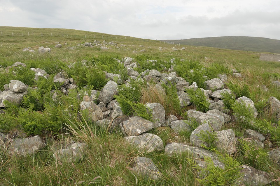 Hill of Burravoe (Cairn(s)) by thelonious