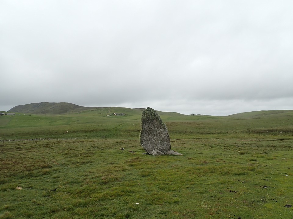 Bordastubble Stones (Standing Stone / Menhir) by thelonious