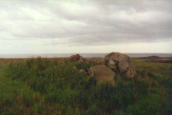 Temple Stones, Millden (Stone Circle) by Moth